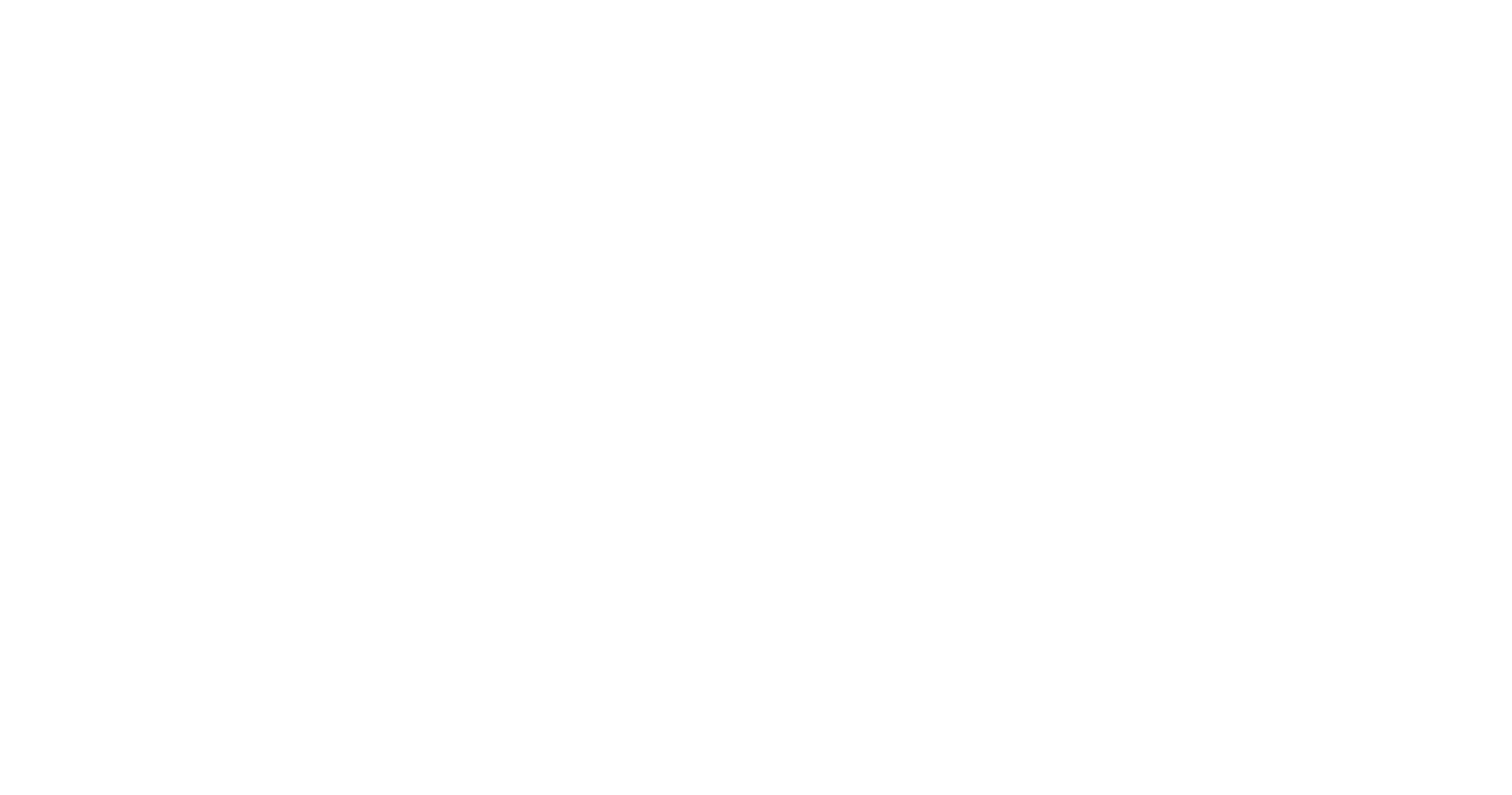 MegaVision Logo